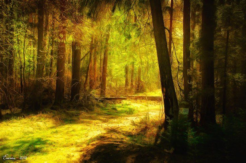 лес, природа Поворот в сказку... фото превью