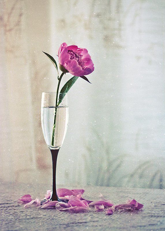 ... фото превью