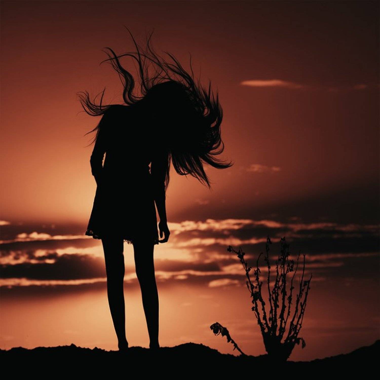 ***. Автор: Sikov Alexander , Sikov Alexander