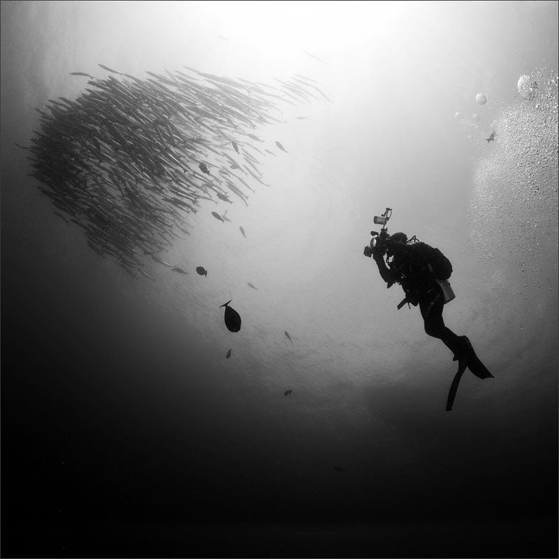 гдетотам За косячком фото превью