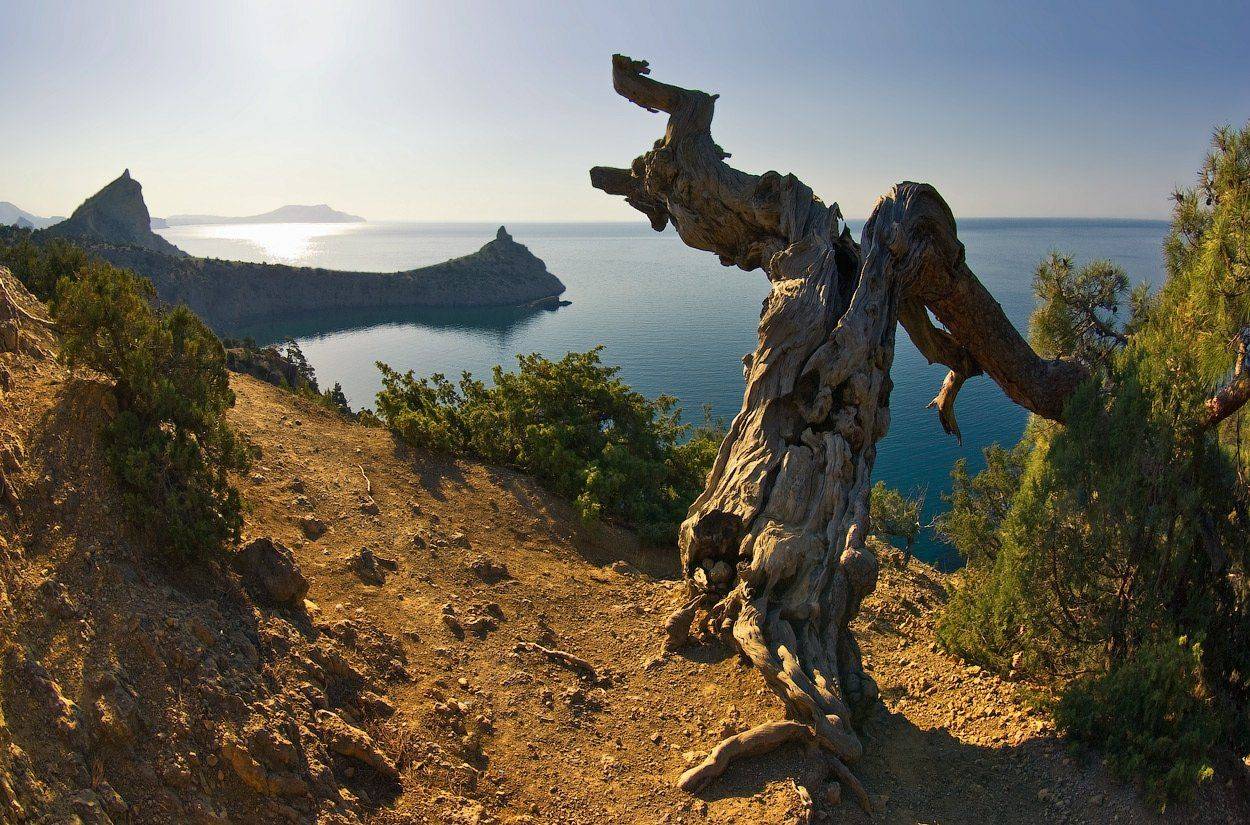 Хозяин тропы. Автор: Игорь Мелекесцев , Игорь Мелекесцев