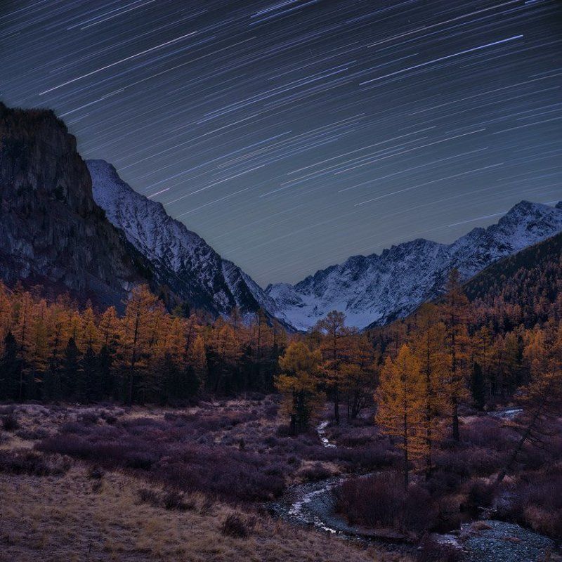 алтай, куйгук, altay, kuyguk Падали звёздыphoto preview