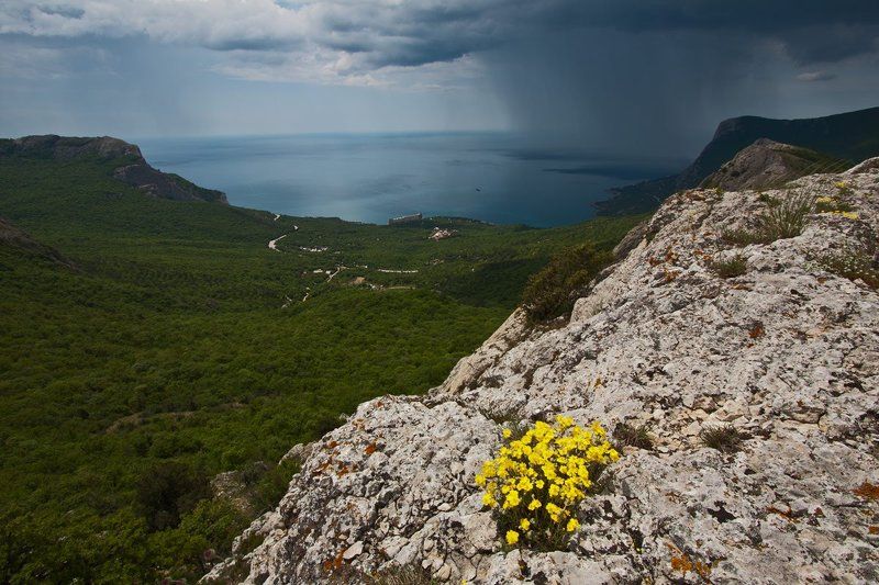 крым, ласпи Перед дождичком в четвергphoto preview