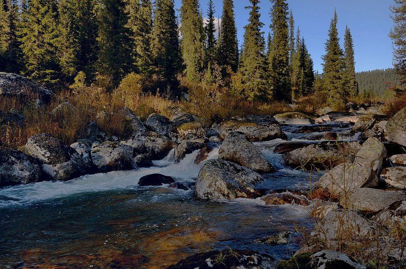 Речушка местного розлива.photo preview