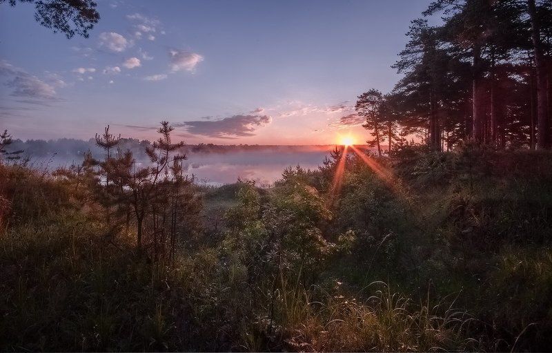 утро...photo preview