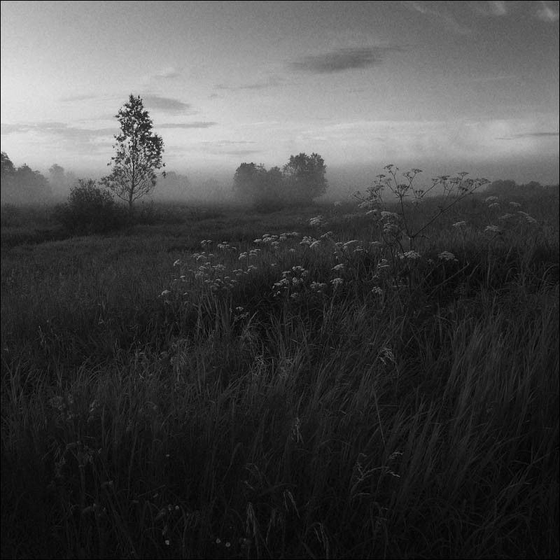 Утро туманноеphoto preview