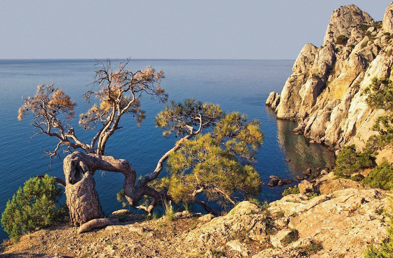 Утро у Караул-Оба. Автор: Игорь Мелекесцев , Игорь Мелекесцев