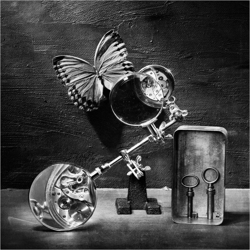 В мире бабочек и механизмовphoto preview