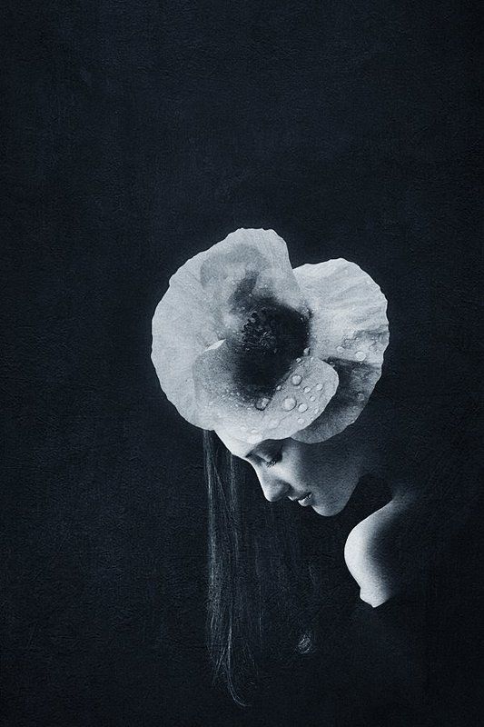 портрет,девушка ***photo preview