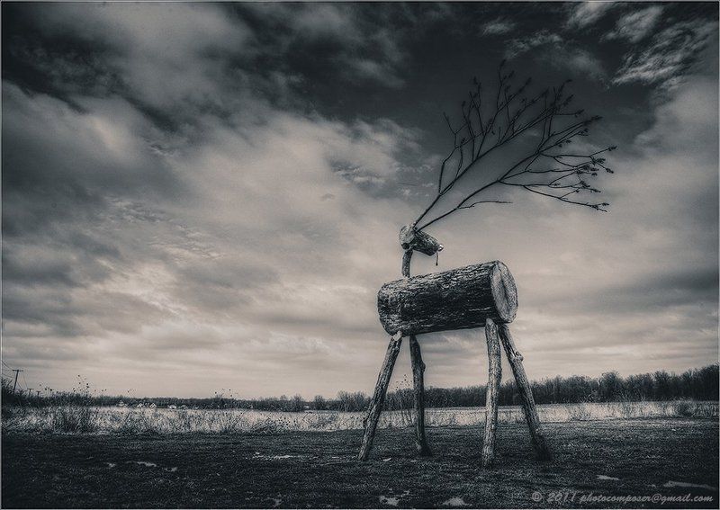 Гордый...photo preview