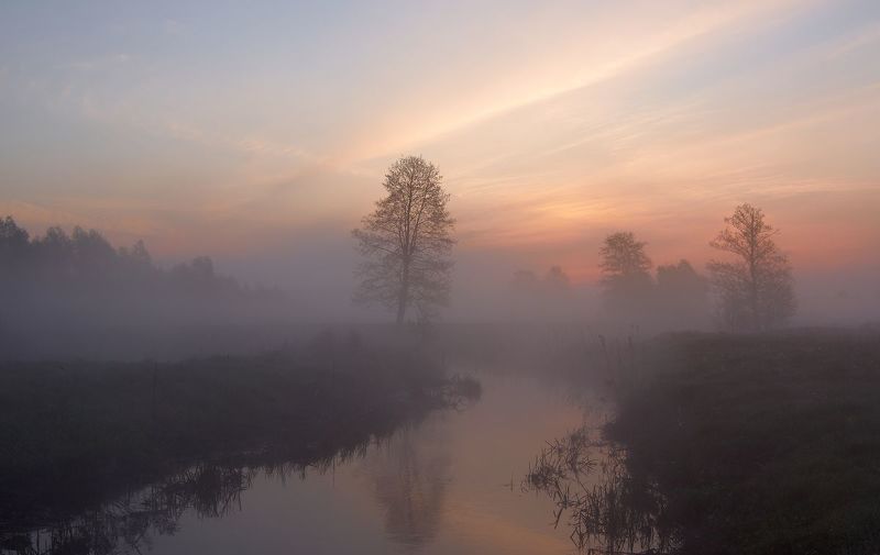 2012, украина, сумская область, кролевец, реть, апрель, весна, утро, туман, деревья, река, берег, облака, отражение Светает...photo preview