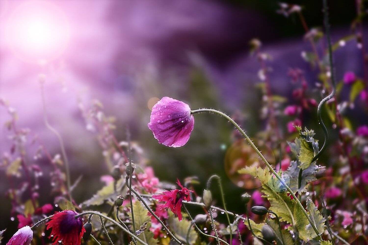 , Юлия Болдинова