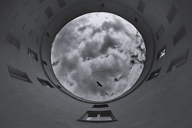 кругphoto preview