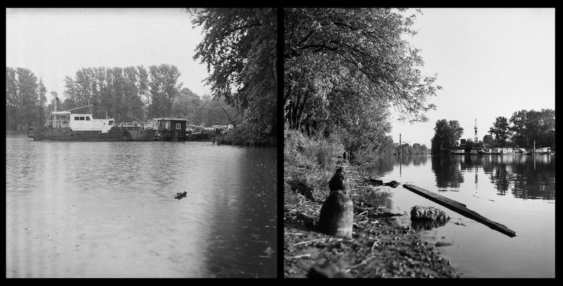 Дивный парк, где деревья склоняются к воде фото превью