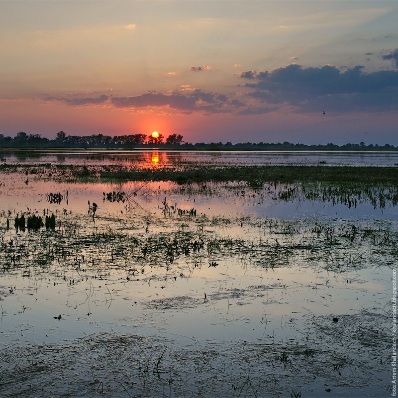 припять, полесье Припять. Весна.photo preview