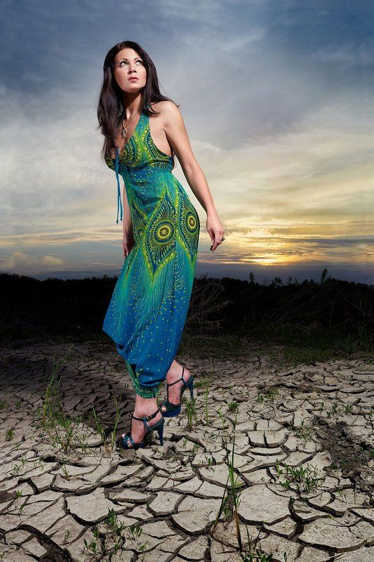 Кактусphoto preview