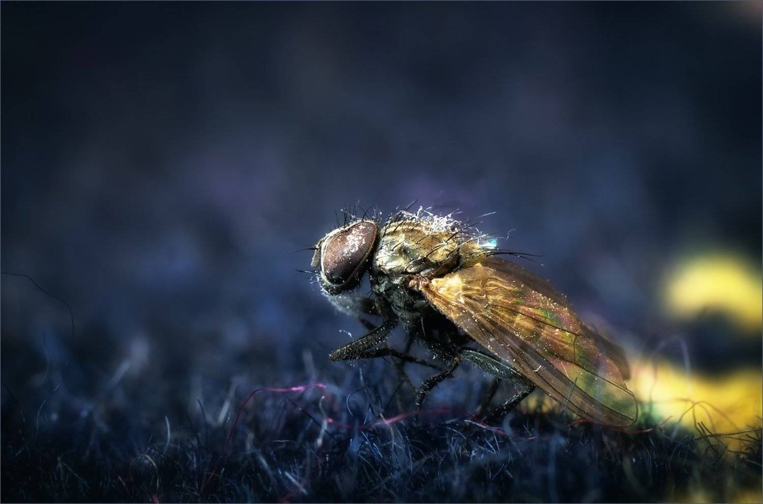 , Суханов Дмитрий