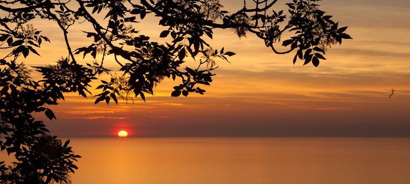 закат и птичкаphoto preview