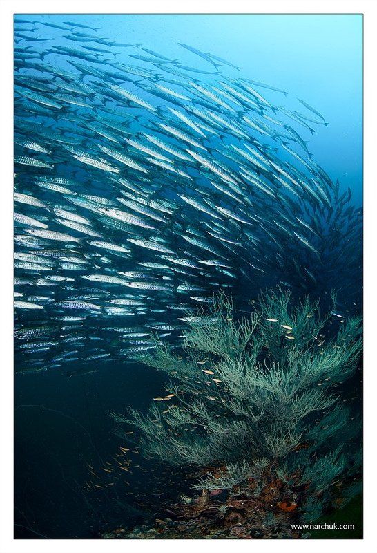 Вихрьphoto preview