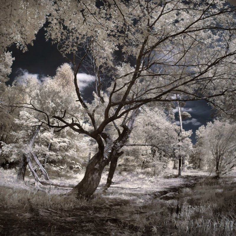 ir Буряphoto preview