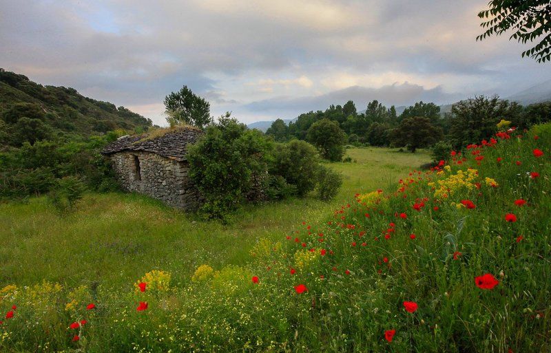 корсиканский вечерphoto preview