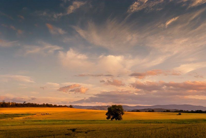 warm colors of the eveningphoto preview