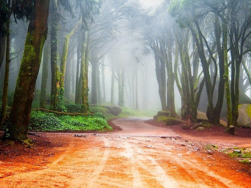 I\'ll come visit you... .photo preview