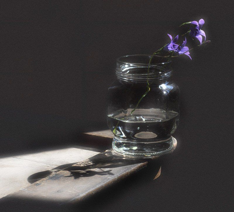 Простой натюрморт при солнечном светеphoto preview