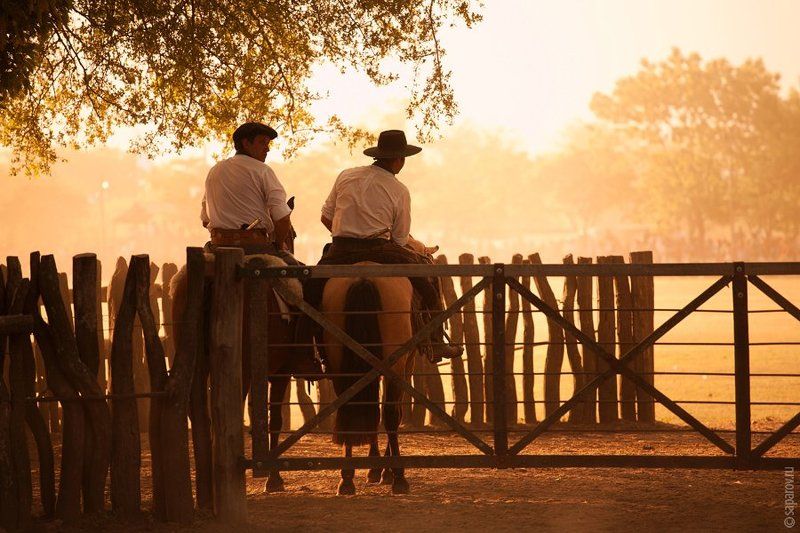 аргентина, гаучо Гаучоphoto preview