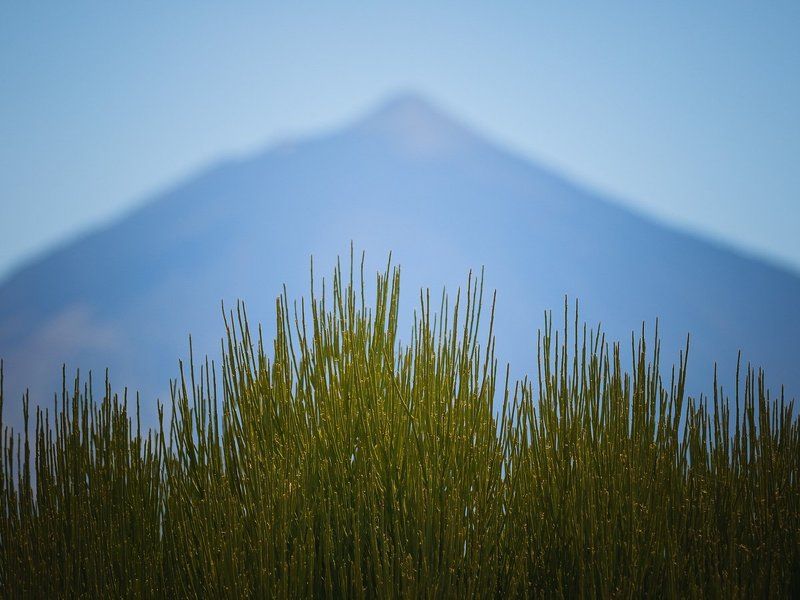 Тейдеphoto preview