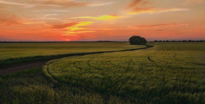 Под светом закатаphoto preview