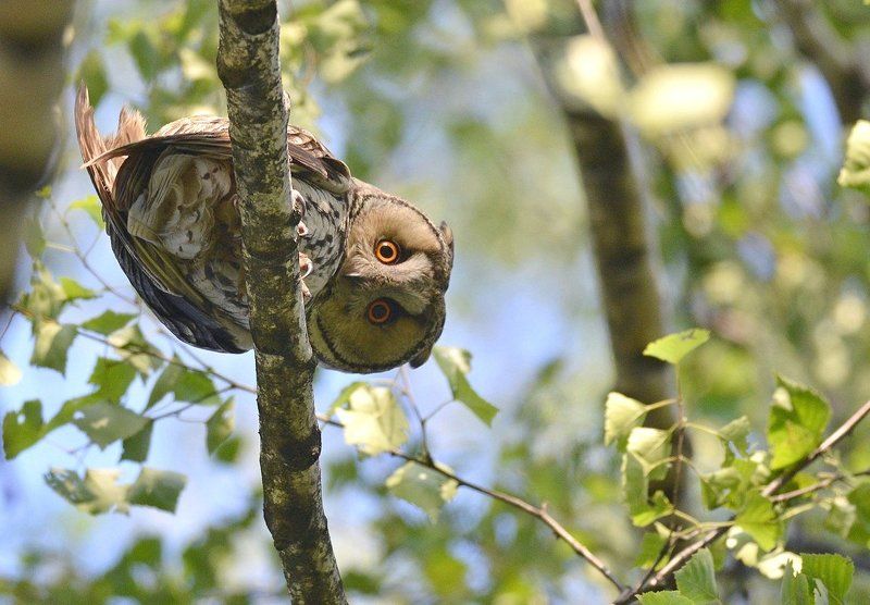 Взглядphoto preview