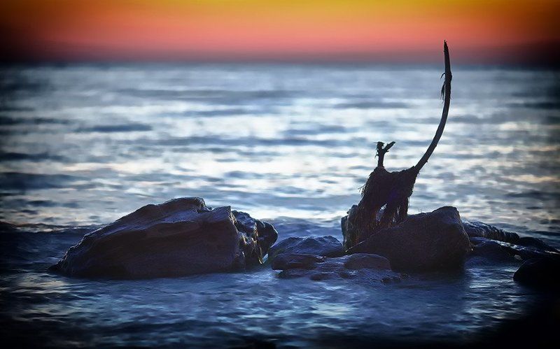 evening, sea, stone Eveningphoto preview