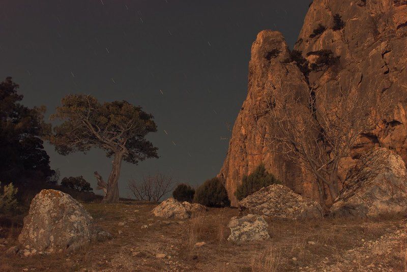 можевельник,скалы,ночь,звёзды, Когда скалы говорят с деревьямиphoto preview