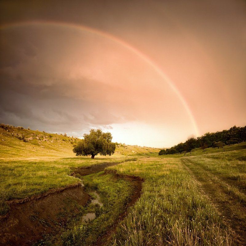 20:31 радугаphoto preview