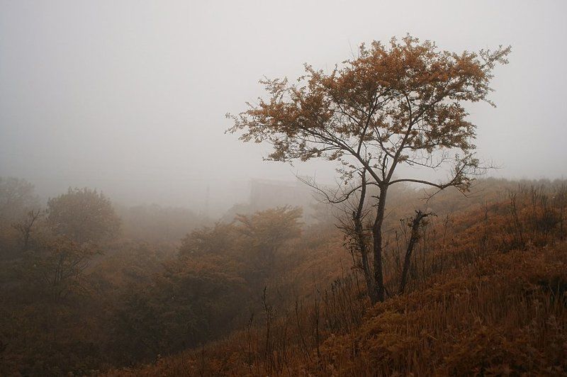 мглаphoto preview