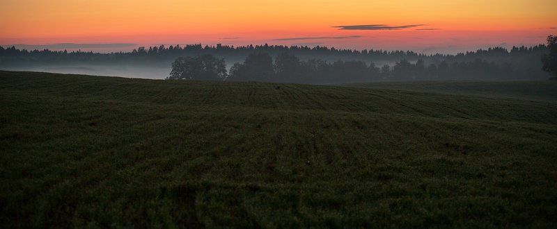 подмосковье, лето, вечер, туман Подмосковные вечера фото превью