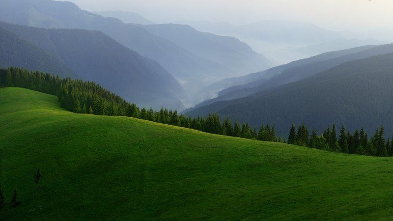 карпаты, горы, мармаросы Гуцульское утро. фото превью