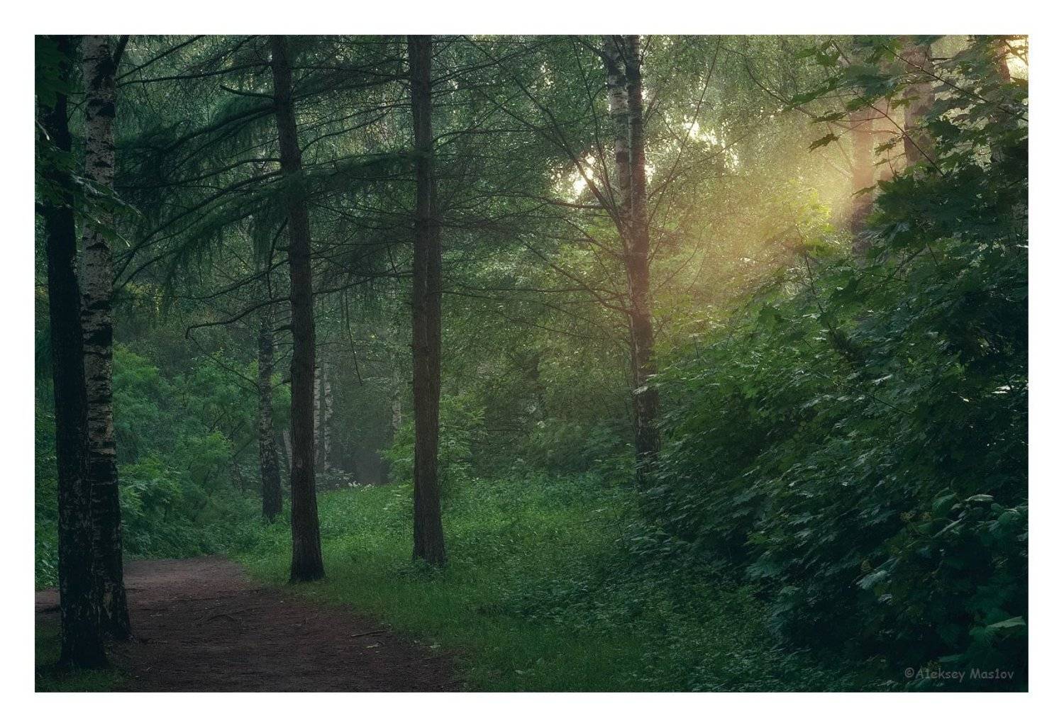 , Алексей Маслов