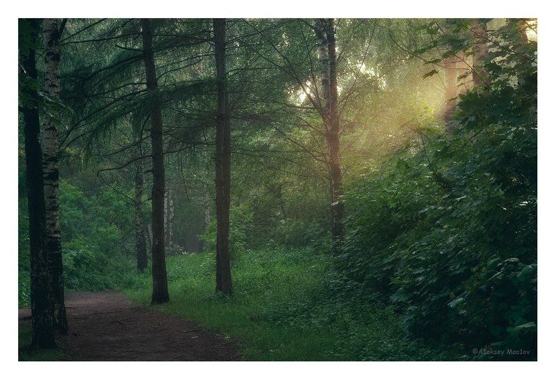 после дождяphoto preview