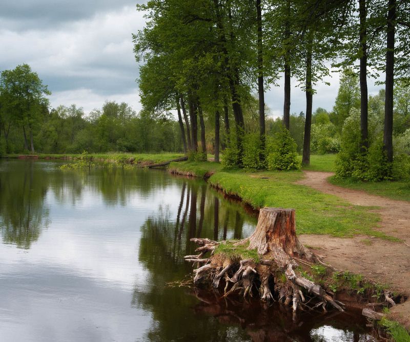 Мцыриphoto preview