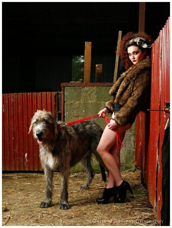 Beauty and the Beastphoto preview