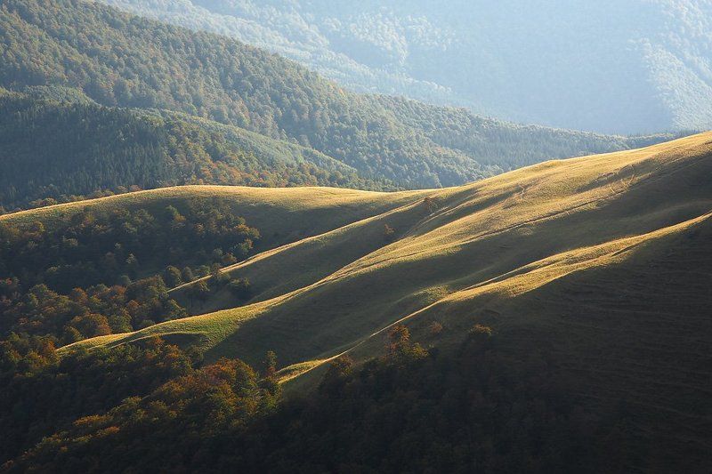 карпаты, щу пальцы фото превью