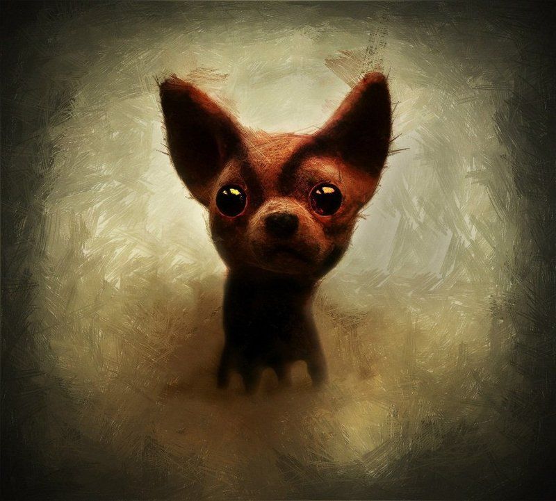 Собачкаphoto preview