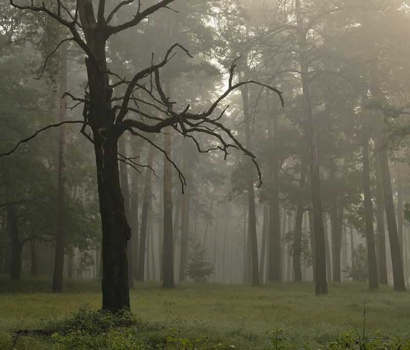 Я - памятник себе...photo preview