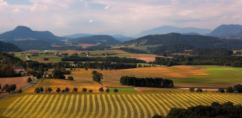 Лоскут.photo preview