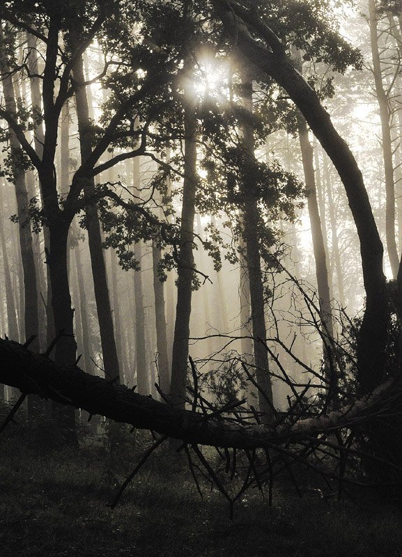 Улыбка Циклопаphoto preview