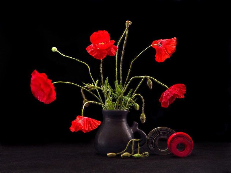 цветы, маки, керамика, ваза, ленты Маковыйphoto preview
