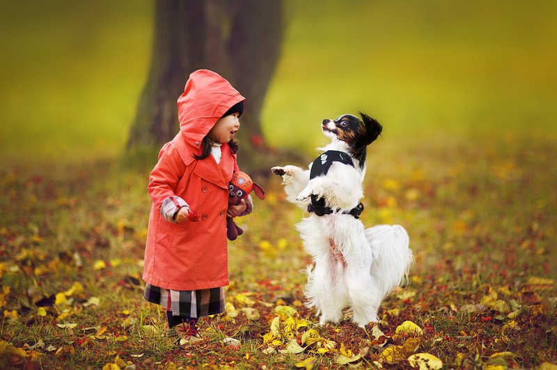 друзья дети питомец Оживленная беседаphoto preview