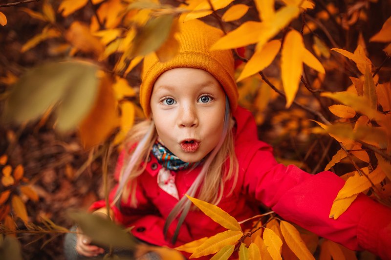 девочка, портрет, осень, листья, оранжевый, желтый, глаза photo preview